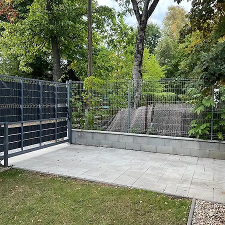 Foevi 鲍洛托努德沃里